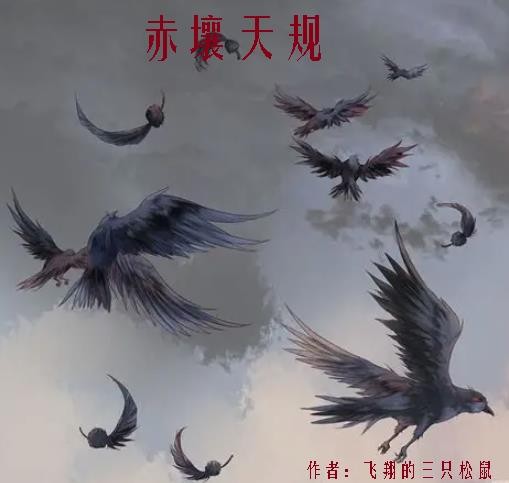 赤壤天规封面