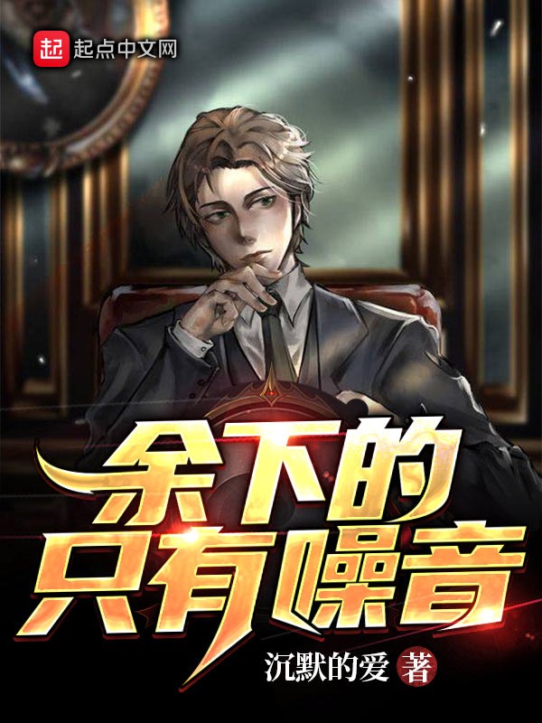 余下的,只有噪音封面