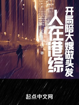 人在港综,你管这叫卧底?封面