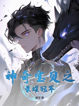 神奇宝贝之荣耀冠军封面