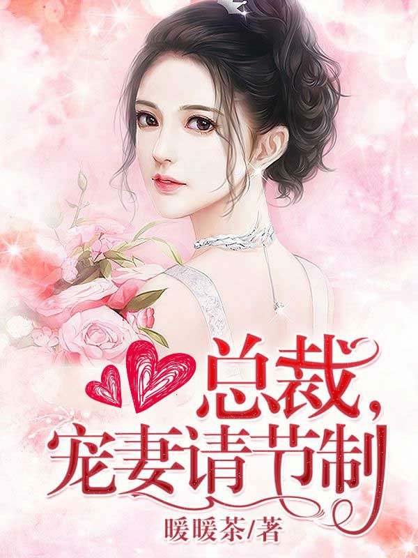 总裁,宠妻请节制封面