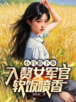 小白脸下乡,入赘女军官软饭喷香封面