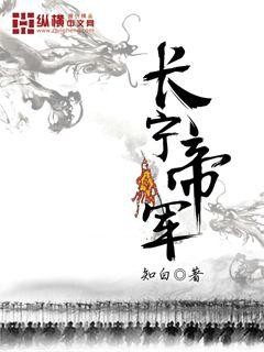 长宁帝军封面