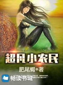 超凡小农民封面