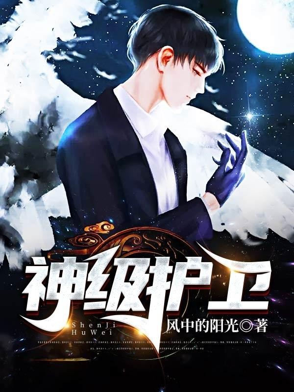 神级护卫封面