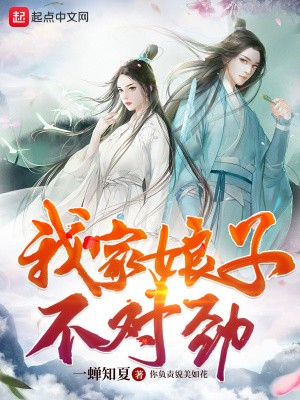 我家娘子,不对劲封面