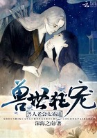 兽世狂宠:兽人老公太霸道封面