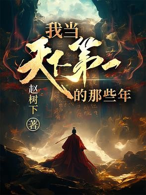 我当天下第一的那些年封面