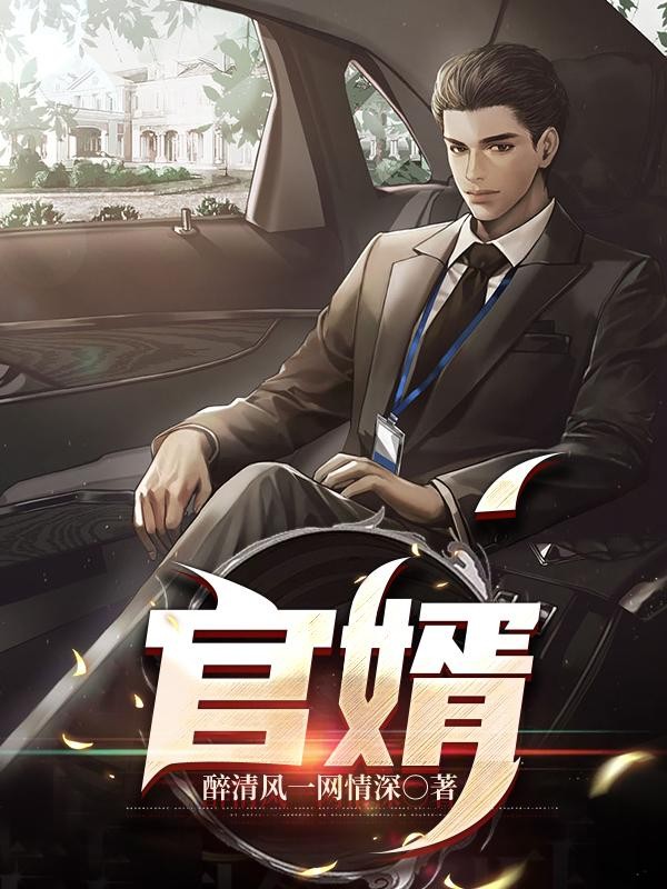 官婿封面
