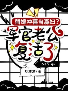 军爷以身许国,军嫂许他也许家封面