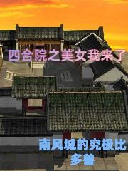 四合院之美女我来了封面