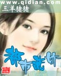 女总裁的王牌高手封面