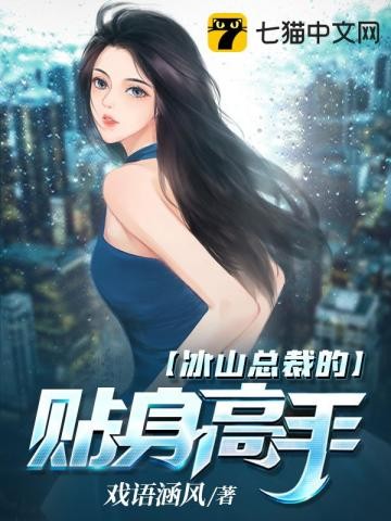冰山总裁的贴身高手封面