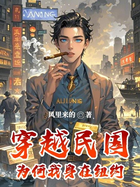 穿越民国为何我身在纽约封面