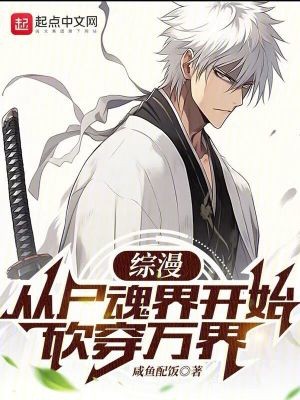 综漫:从尸魂界开始砍穿万界封面