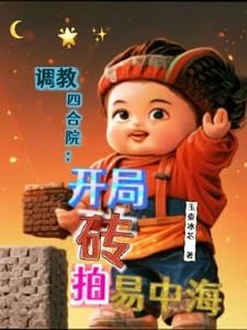 从砖拍易中海开始调教四合院封面
