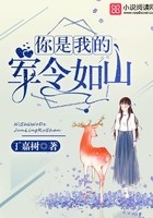 你是我的军令如山封面