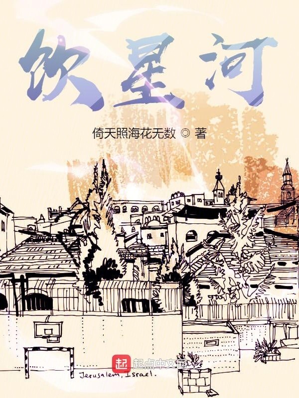 饮星河封面