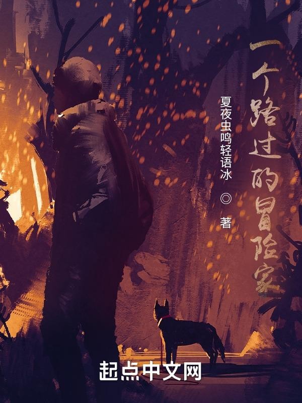一个路过的冒险家封面