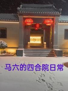 马六的四合院日常封面