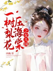 一树梨花压海棠之女儿国封面