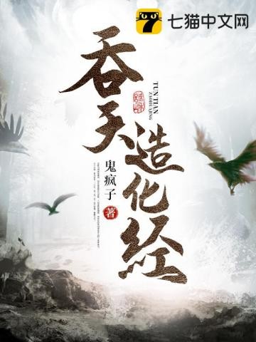 吞天造化经封面