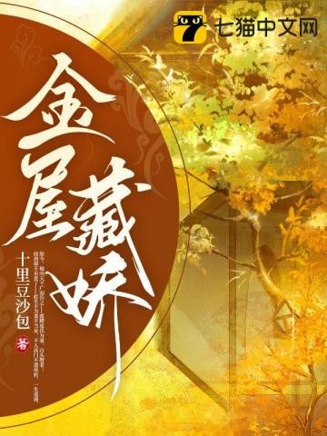 金屋藏娇封面