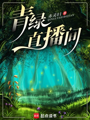 弹幕追凶封面