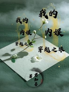 我的内娱穿越之旅封面