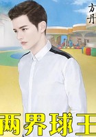 两界球王封面