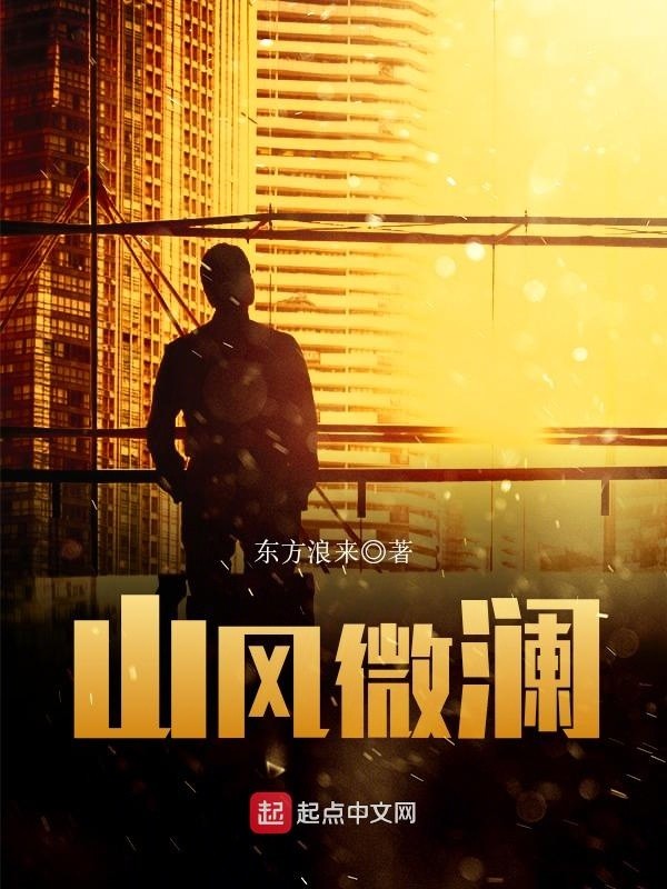 山风微澜封面