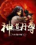 神道丹尊封面
