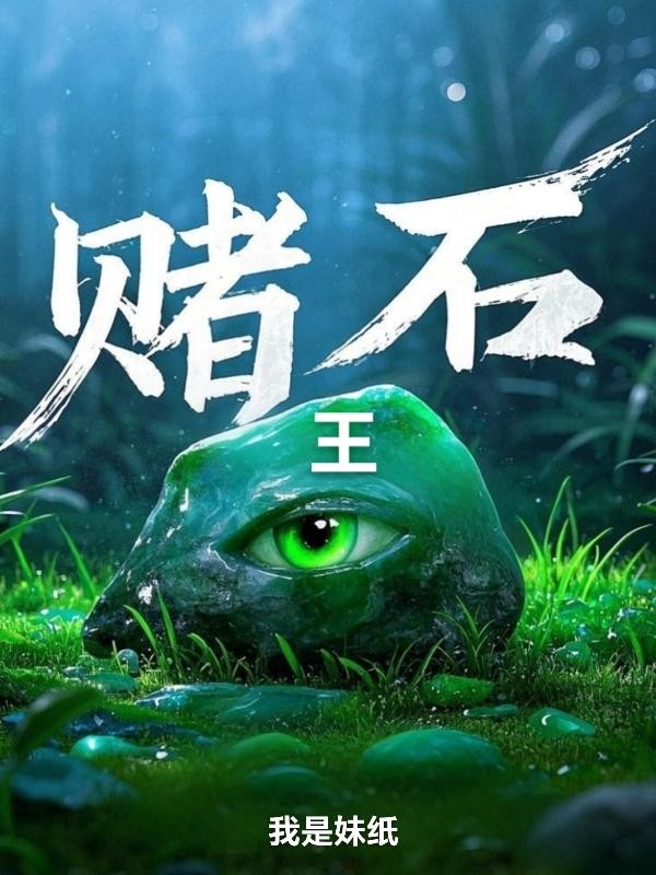 赌石王封面