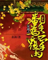 穿越之翻手为云覆手雨封面