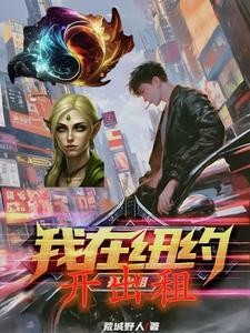 我在纽约开出租封面