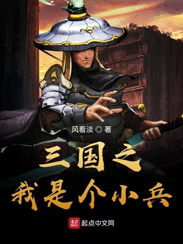三国之我是个小兵封面