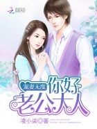 宠妻无度:你好,老公大人封面