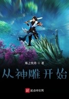 从神雕开始封面