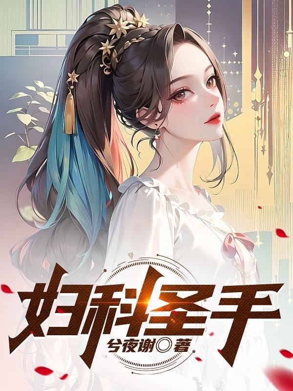 妇科圣手封面