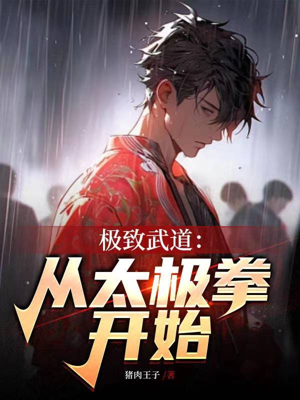 极致武道:从太极拳开始封面