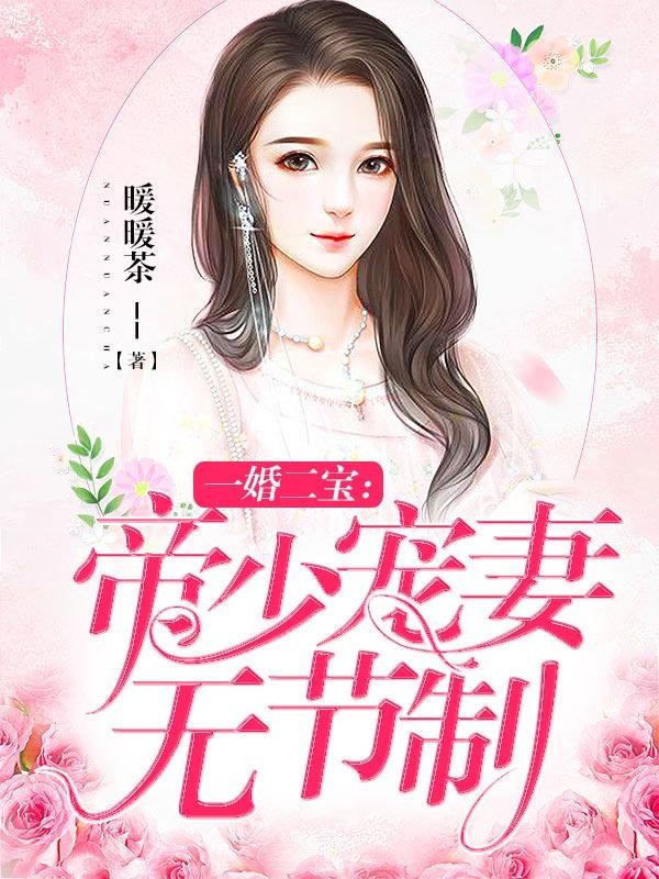 一婚二宝:帝少宠妻无节制封面