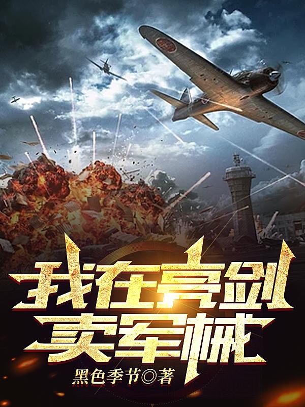我在亮剑卖军械封面