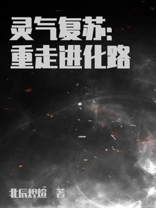 终极进化路封面