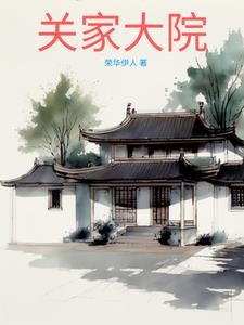 关家大院封面