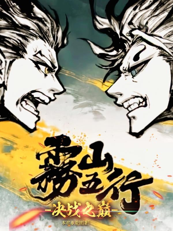 雾山五行:决战之巅封面