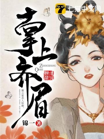 掌上齐眉封面