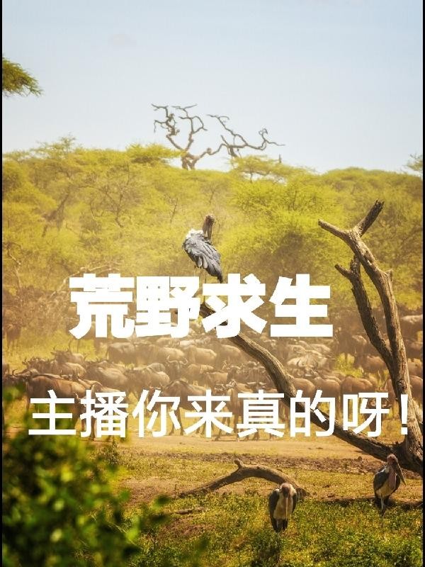 荒野求生:主播你来真的呀!封面