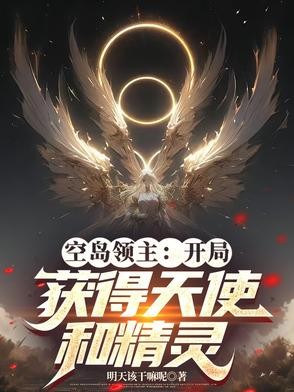 空岛领主：开局获得天使和精灵封面