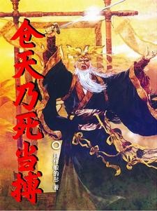 穿越后我还是戴黄盔穿黄袍封面