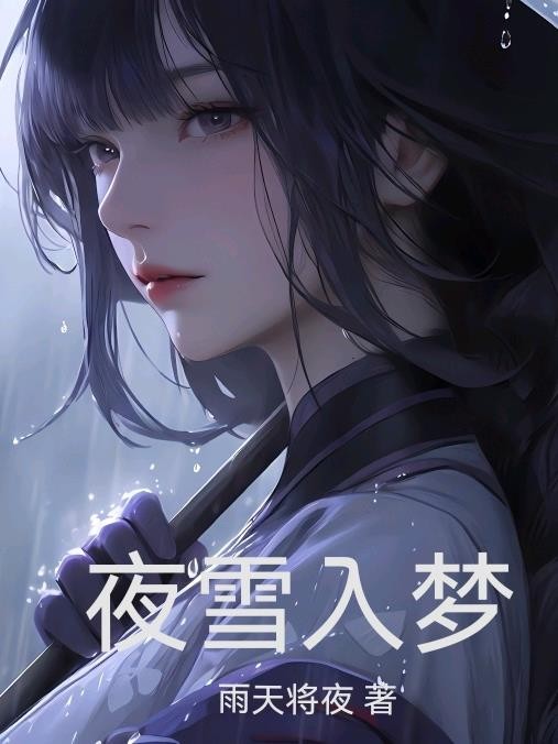 夜雪入梦封面